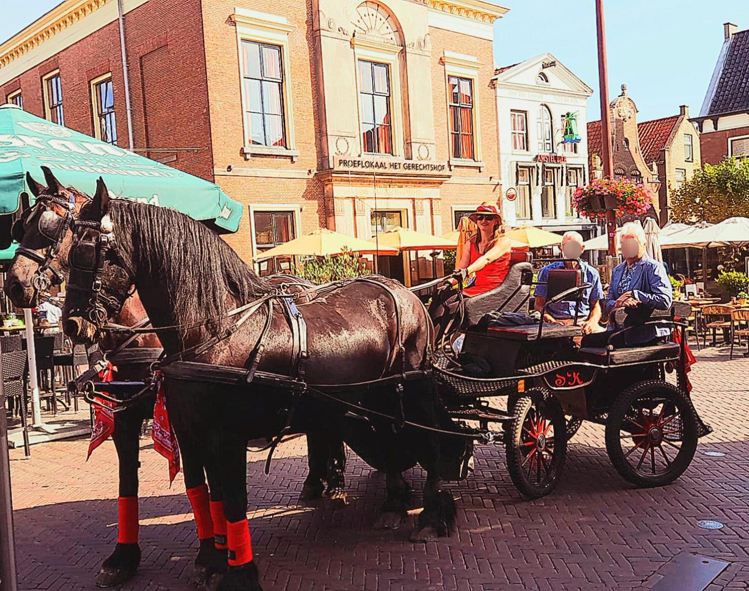 Stacaravan Op De Paardenboerderij Sneek Buitenkant foto